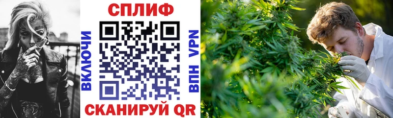 купить наркотики сайты  Выкса  blacksprut онион  МАРИХУАНА Amnesia 